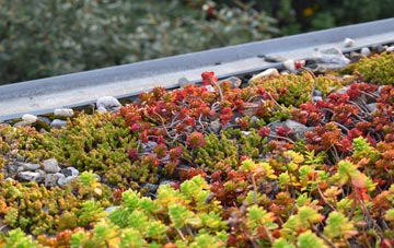 the cost of Wingates green roof installation