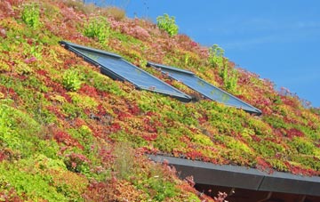 Wingates living roof systems